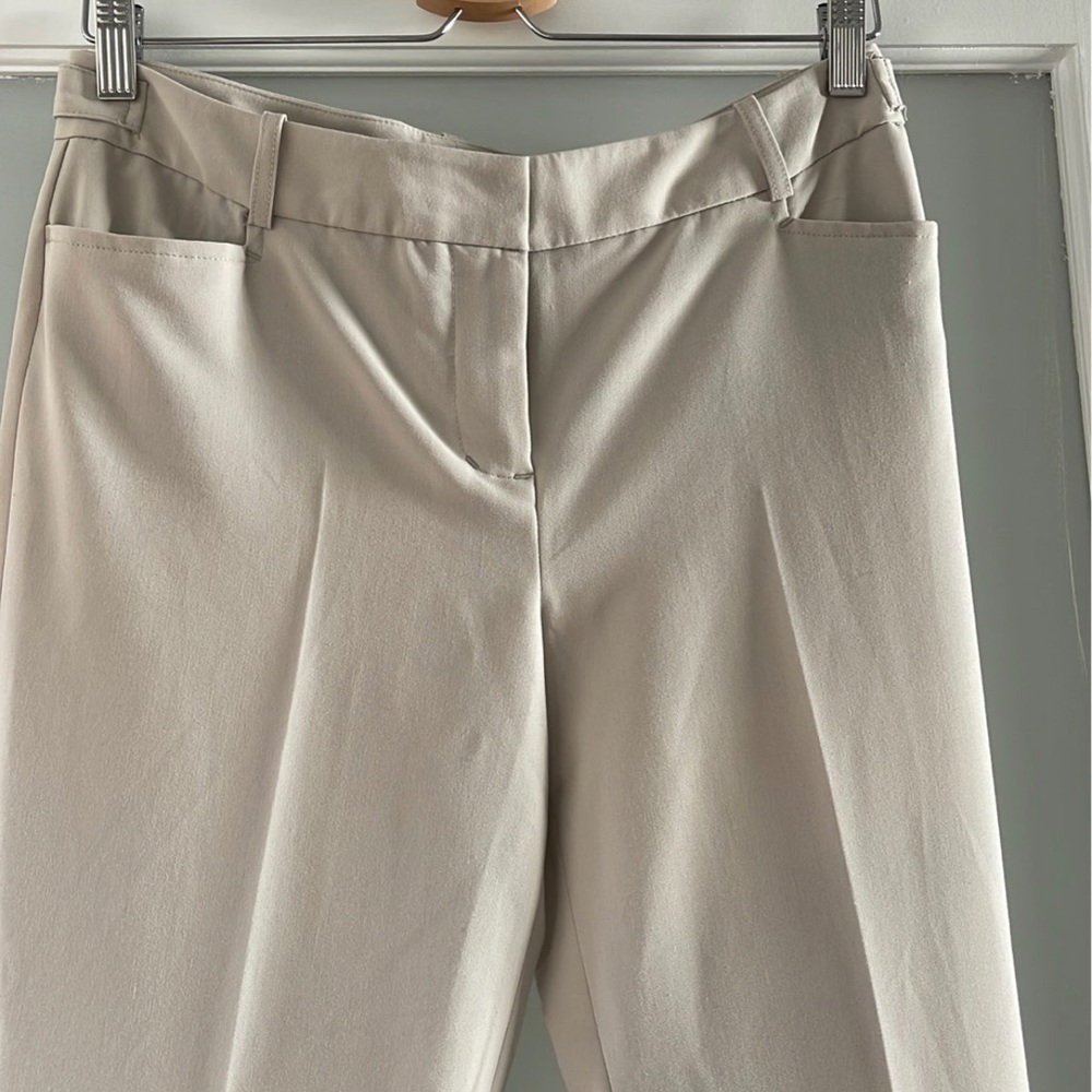 Express dress pants